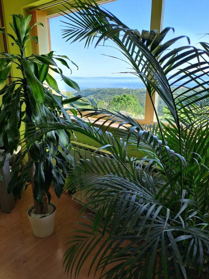 Kuca Za Odmor Vista Mare Villa Marinici  Eksteriør bilde